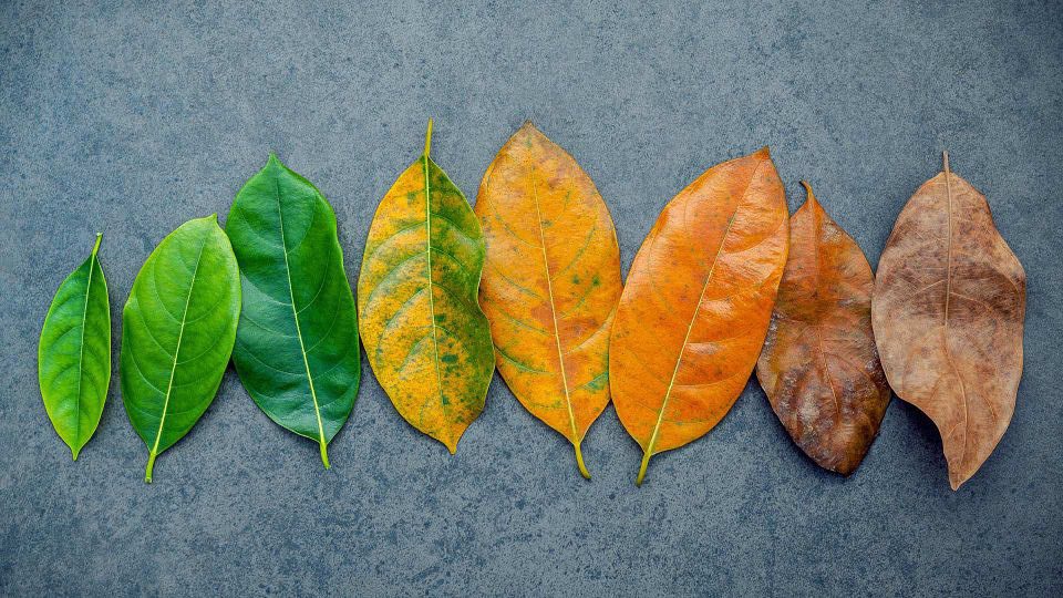 Recognising changes in client needs course artwork