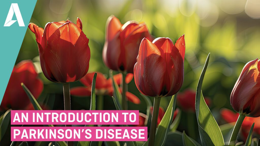 An introduction to Parkinson's disease course artwork