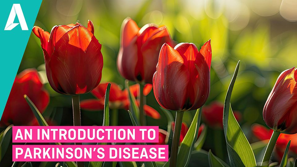 an intor to parkinsons course thumbnail for blog