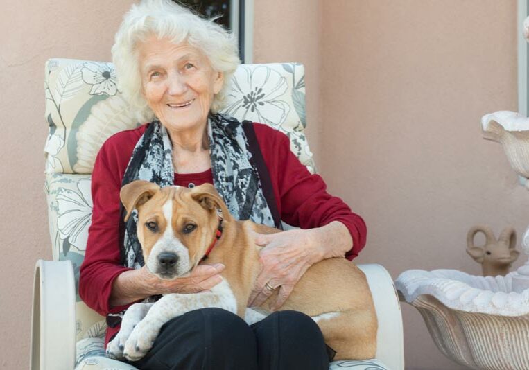 how-dogs-are-helping-those-in-aged-care Dogs helping aged care blog artwork | Elderly women with brown dog